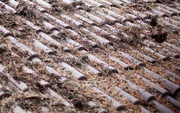 Linton Hill roof cleaning companies